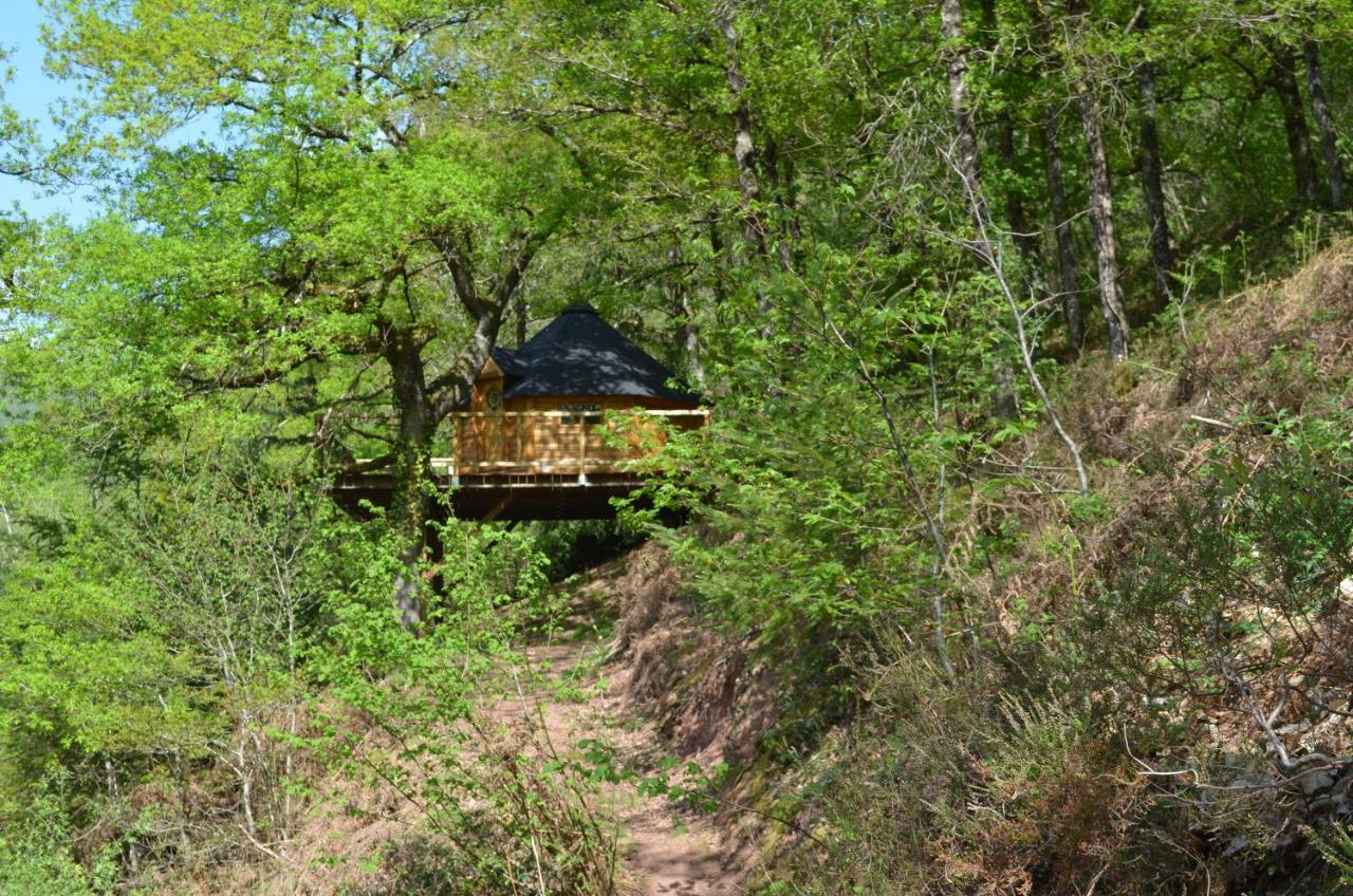 Conques-en-Rouergue Ma Cabane En Aveyron מראה חיצוני תמונה