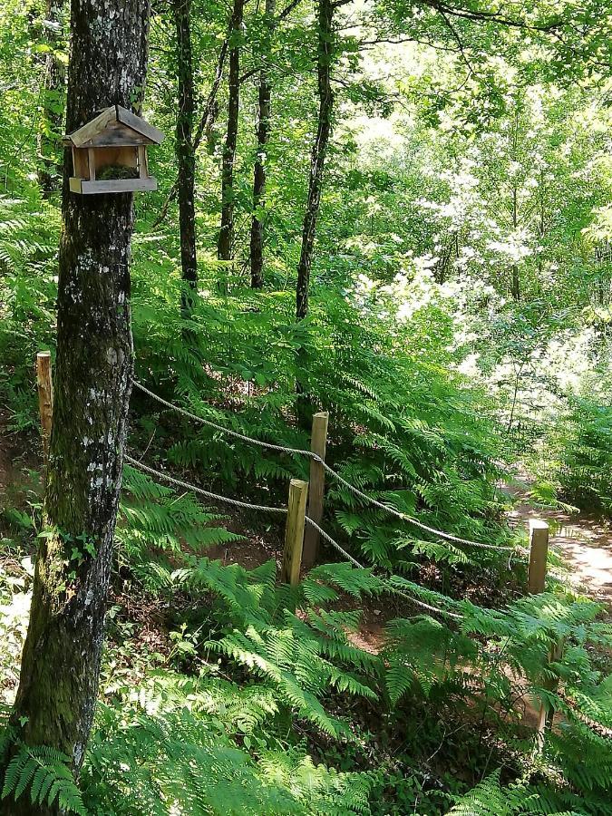 Conques-en-Rouergue Ma Cabane En Aveyron מראה חיצוני תמונה